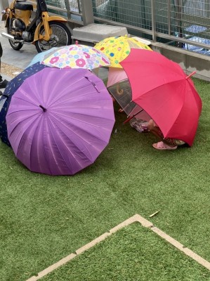 傘たち